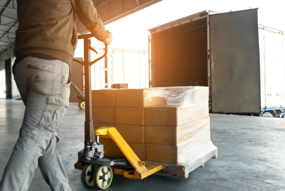 transport  assistance