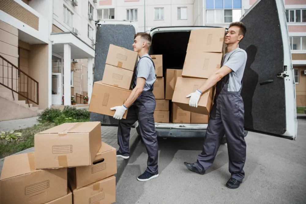 demenagement (20)